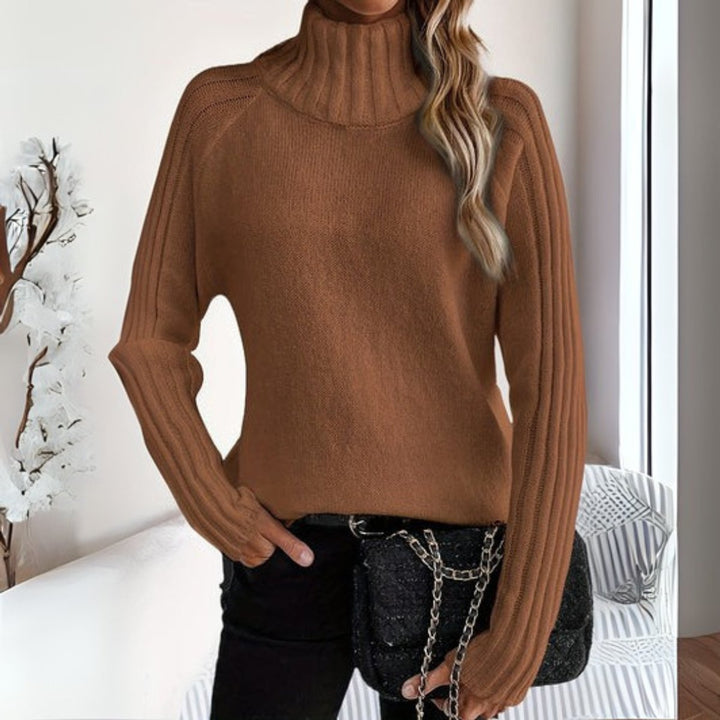 Women's Ribbed Knit Relaxed-Fit Turtleneck Sweater - Brown